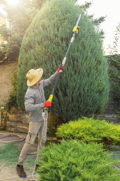 Best Commercial Tree Services  in Gulf Hills, MS